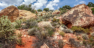 Beautiful Red Rocks