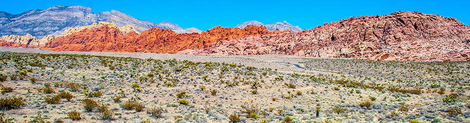 Red Rock Canyon in its beauty